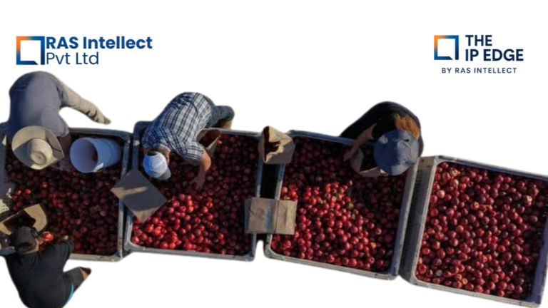 A farmer gave away 180,000 pounds of nectarines rather than sell them. The company suing him never actually patented the fruit.